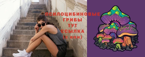 дурь Алексеевка