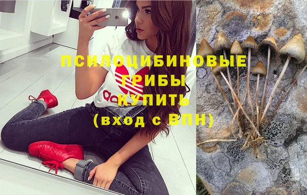 герыч Алексин