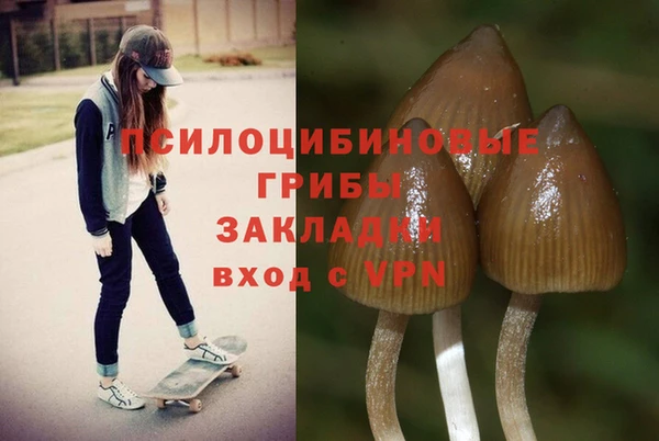 не бодяженный Алзамай