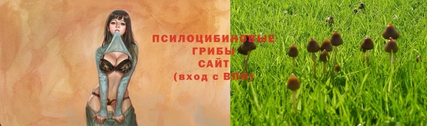 дурь Алексеевка