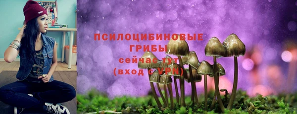 не бодяженный Алзамай